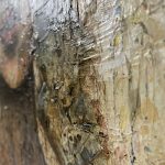 Original-kunst-ung-dansk-kunstner