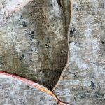 stort-portraet-maleri-kvinde-med-knold-bagfra-hammershoi-nyfortolkning